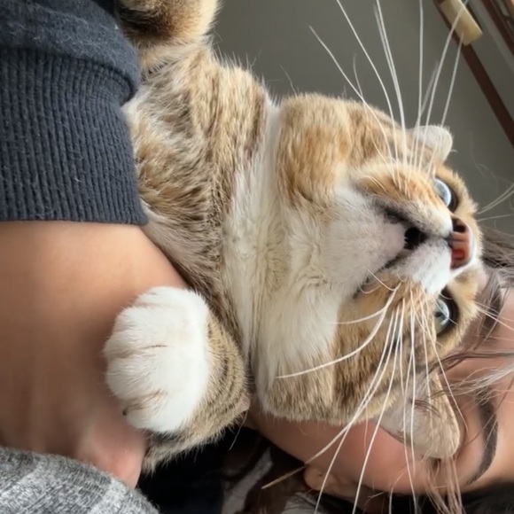 Meet your Posher - Picture 1 of 1